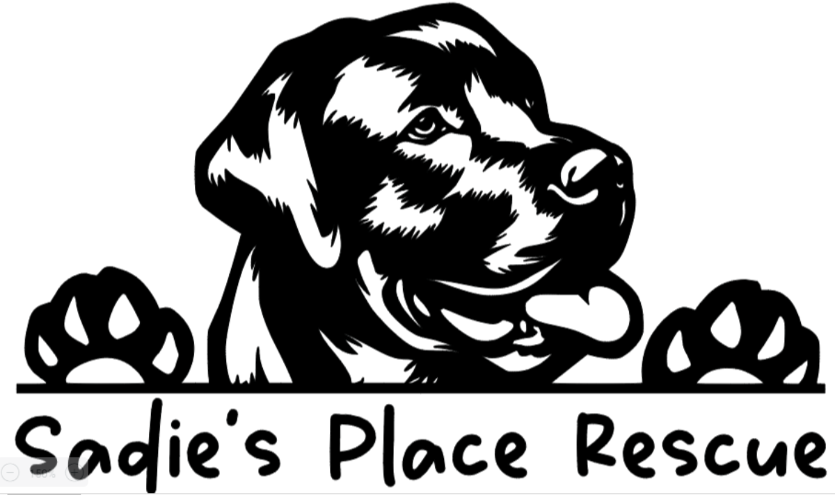 Sadie's Place Rescue